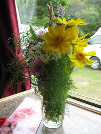 IMG_0481