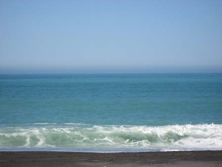 IMG_0513