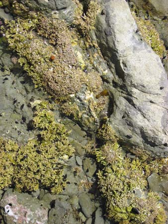 IMG_0578