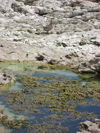 IMG_0606