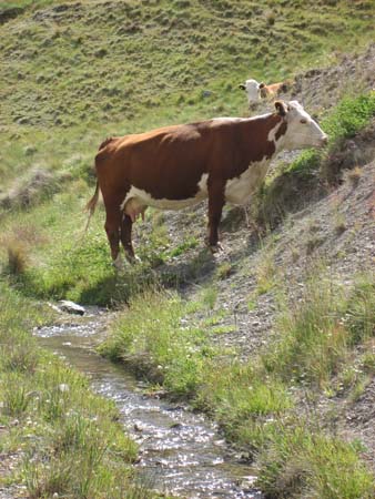 IMG_0633
