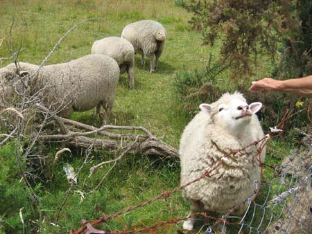 IMG_0746